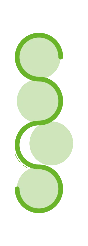 SEO for Accountants