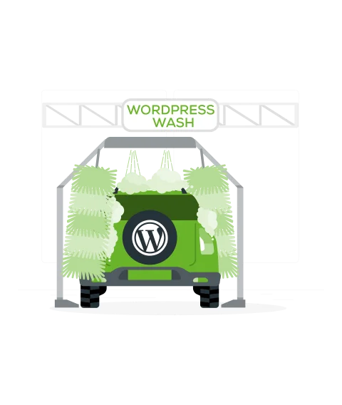 Hire WordPress Developer